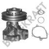 BERGKRAFT BK8801316 Water Pump